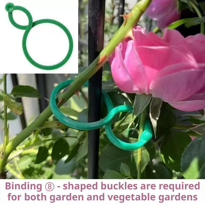 คลิปหนีบต้นไม้แบบหนา 100 ชิ้น  - Vine Climbing Plastic บทวิจารณ์และราคา