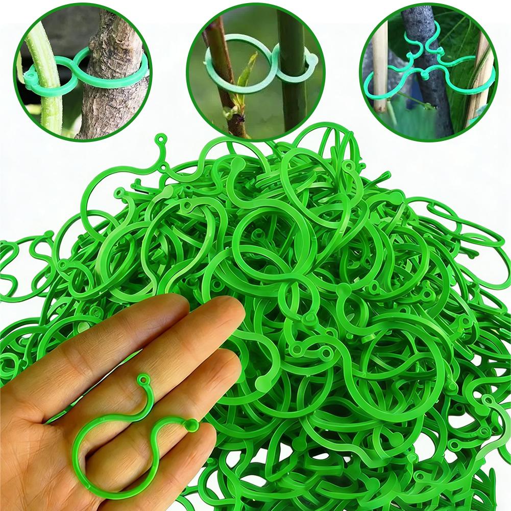 คลิปหนีบต้นไม้แบบหนา 100 ชิ้น  - Vine Climbing Plastic บทวิจารณ์และราคา