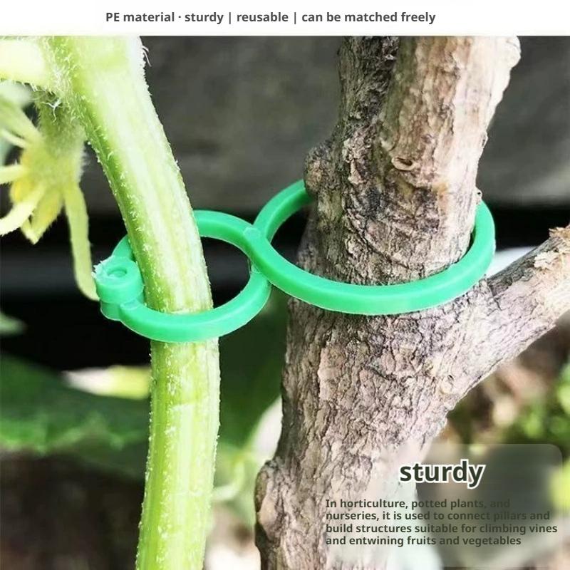 คลิปหนีบต้นไม้แบบหนา 100 ชิ้น  - Vine Climbing Plastic บทวิจารณ์และราคา