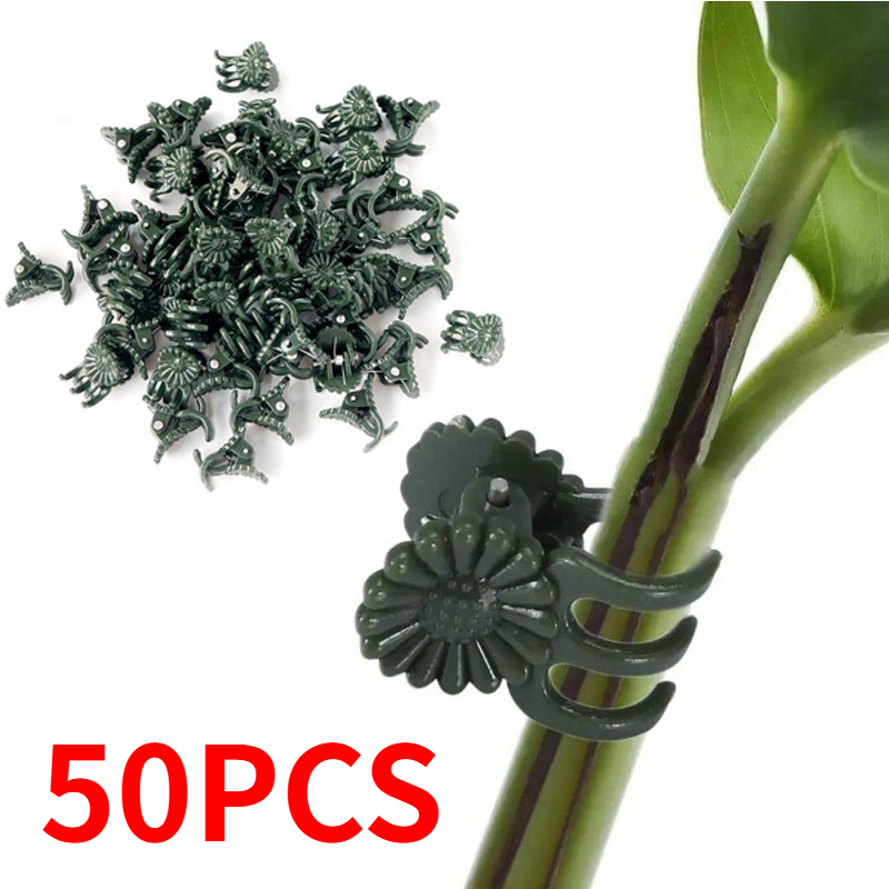 คลิปหนีบต้นไม้สีเขียวเข้มแบบ 5 - Vine Climbing Plastic บทวิจารณ์และราคา