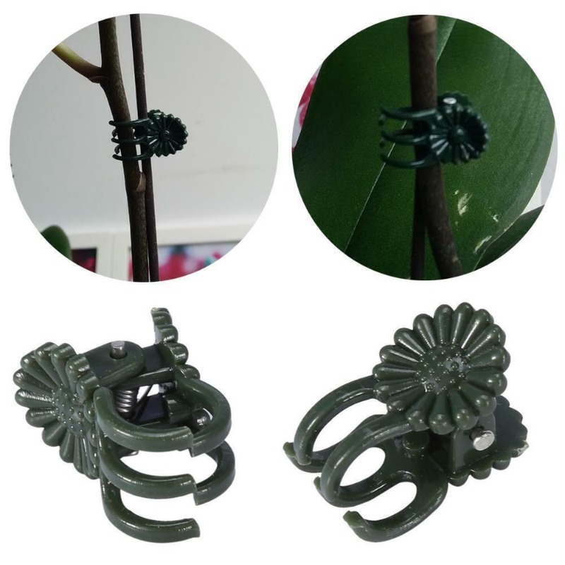 คลิปหนีบต้นไม้สีเขียวเข้มแบบ 5 - Vine Climbing Plastic บทวิจารณ์และราคา