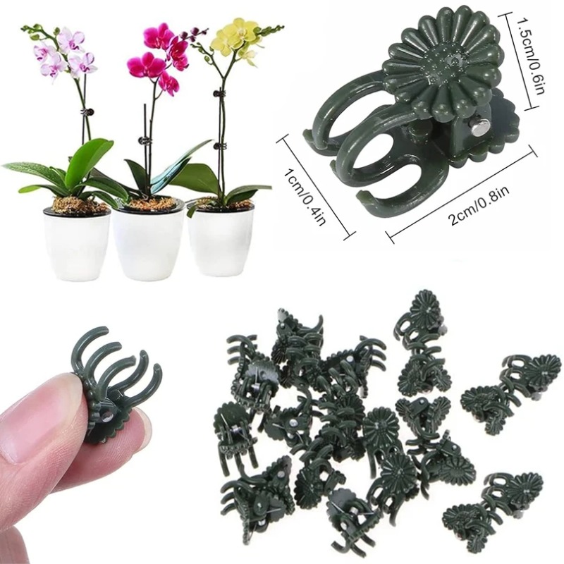 คลิปหนีบต้นไม้สีเขียวเข้มแบบ 5 - Vine Climbing Plastic บทวิจารณ์และราคา