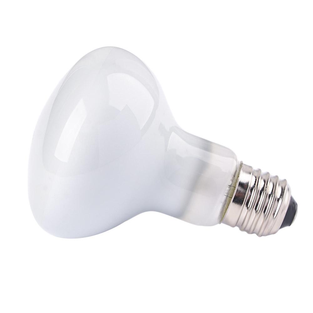 เครื่องควบคุมอุณหภูมิสำหรับสัต - Basking Bulb Halogen บทวิจารณ์และราคา