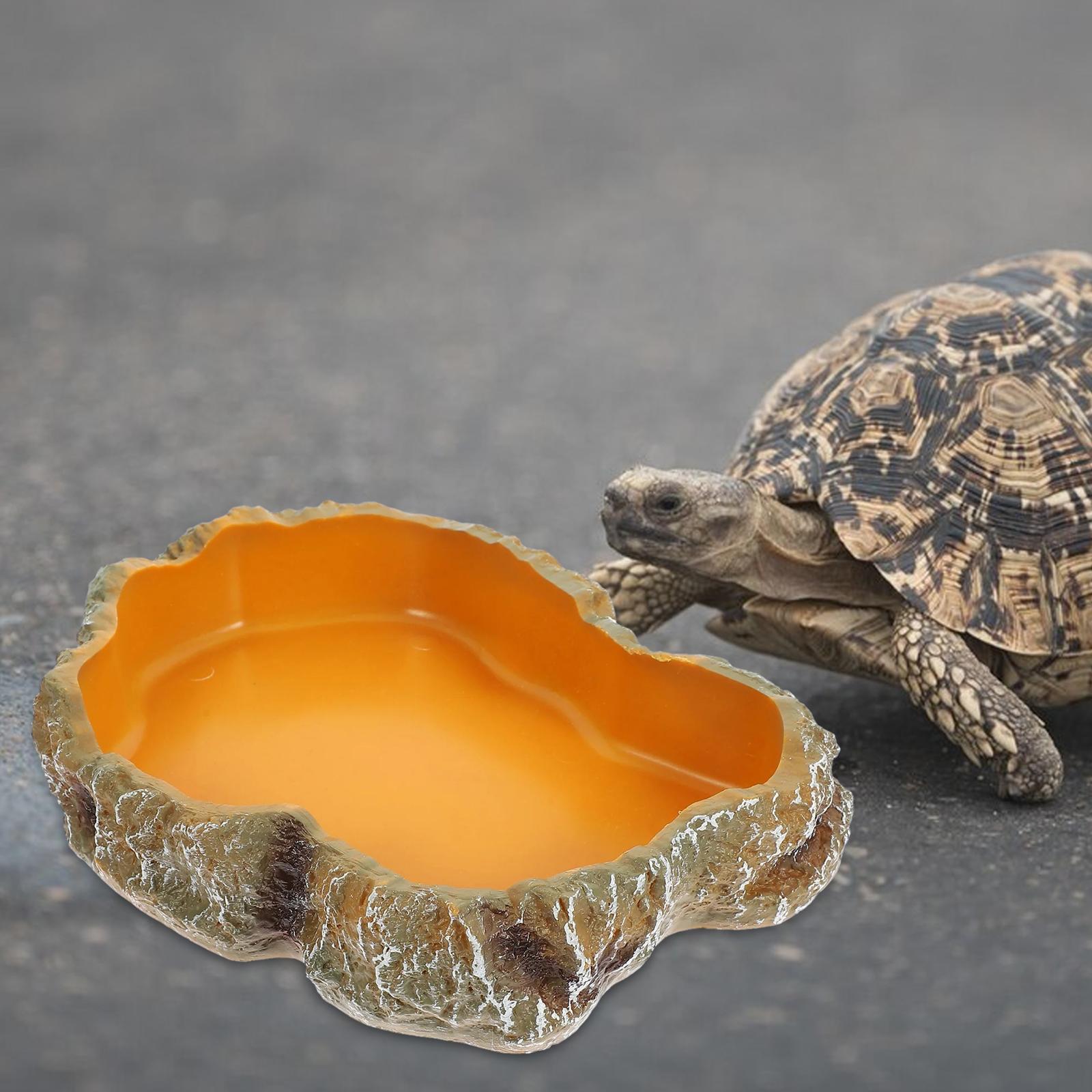 อุปกรณ์เสริมสำหรับตู้สัตว์เลื้ - Water Dish Reptile บทวิจารณ์และราคา