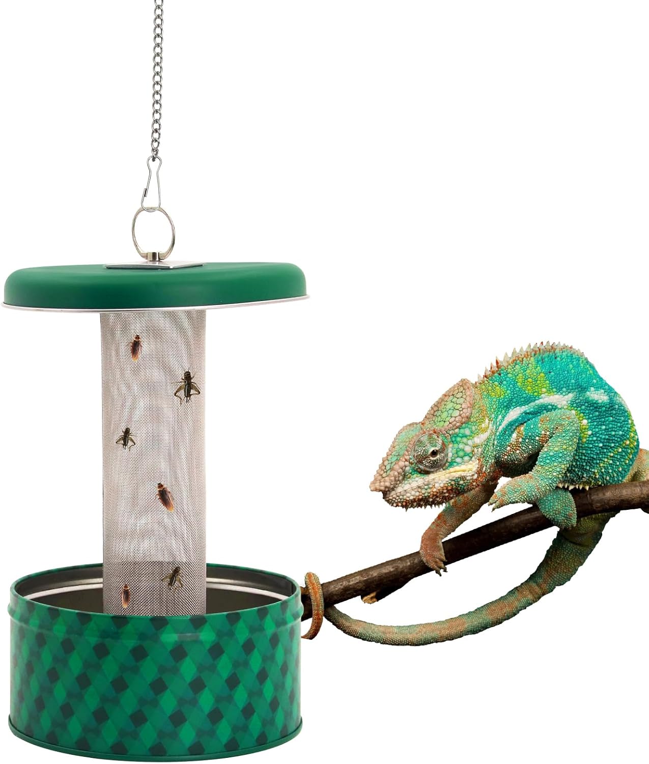 กล่องให้อาหารสัตว์เลื้อยคลานแบ - Water Dish Reptile บทวิจารณ์และราคา