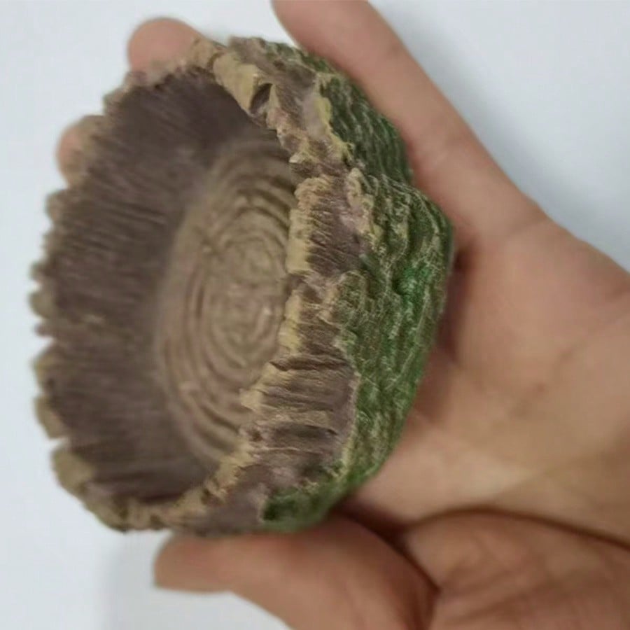 ชามใส่น้ำและอาหารสำหรับสัตว์เล - Water Dish Reptile บทวิจารณ์และราคา