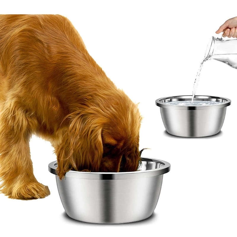 ชามอาหารสุนัขสแตนเลส 20 ซม. 24 - Royal Canin Food Medium บทวิจารณ์และราคา
