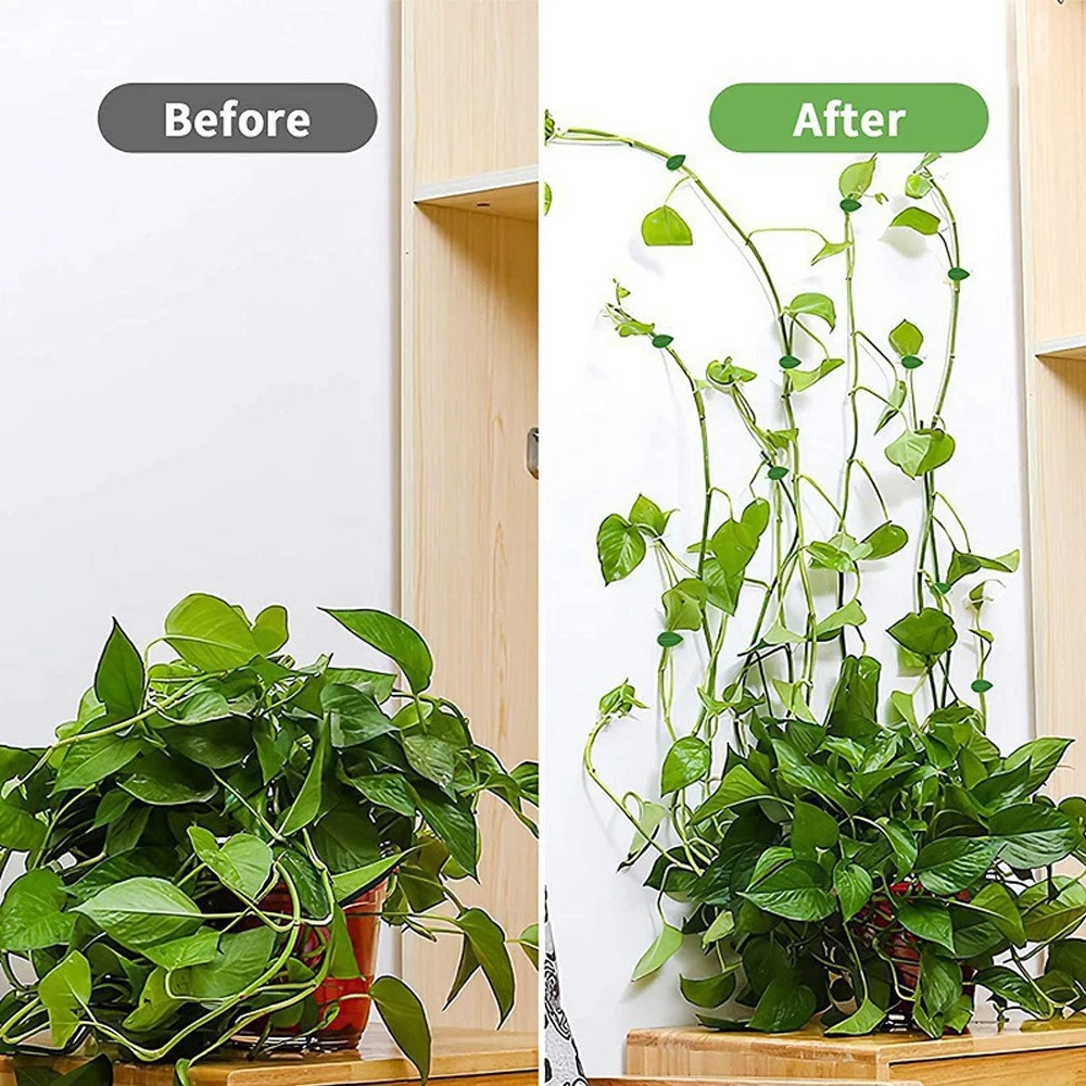 10/30/50 ชิ้น คลิปยึดต้นไม้ปีน - Vine Climbing Plastic บทวิจารณ์และราคา