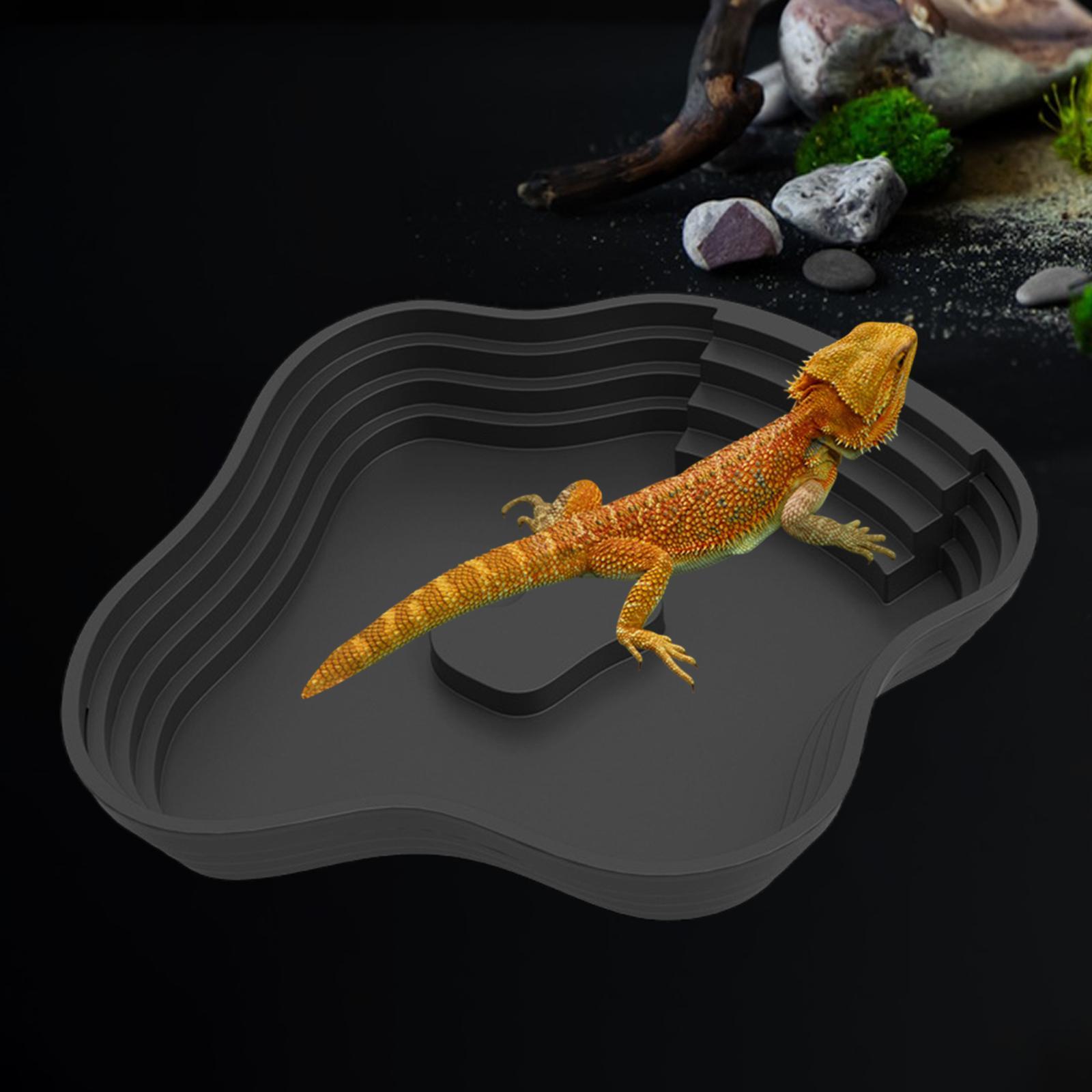 อ่างอาบน้ำสำหรับสัตว์เลื้อยคลา - Water Dish Reptile บทวิจารณ์และราคา